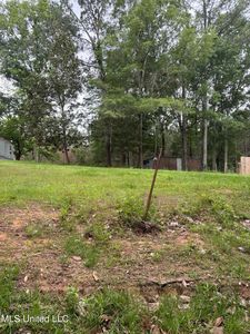 111 Daniel Magee Rd, Magee, MS, 39111