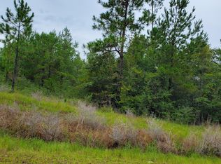 2 McHenry Rd #2, Mc Henry, MS 39561