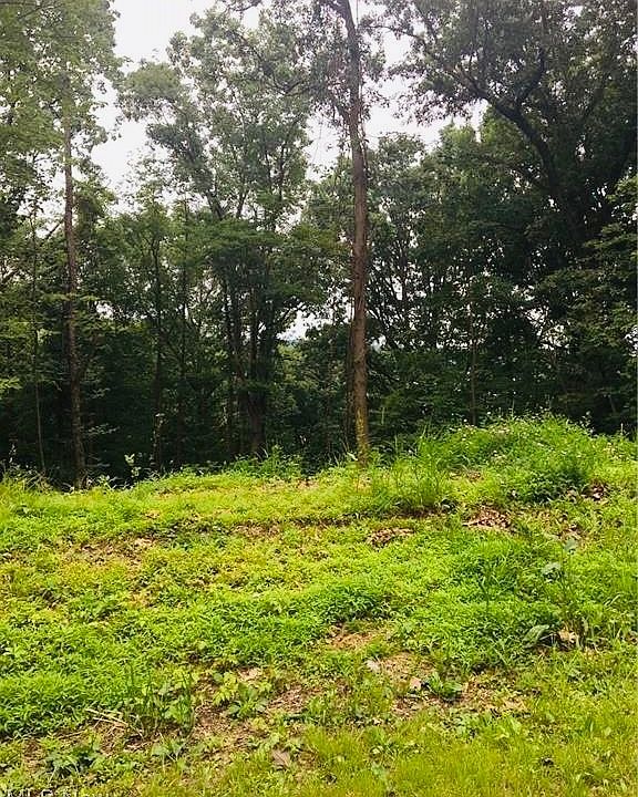 1st image of 66 Oneida Trl