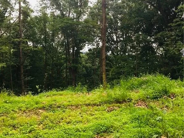 66 Oneida Trl, Malvern, OH 44644