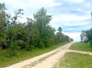 NE 154th Ave LOT 3, Williston, FL 32696