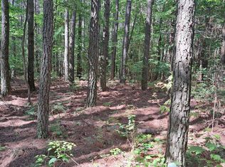 Airport Road Pca LOT 3, Rockwood, TN 37854