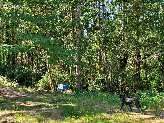 4th image of 10109 Key Peninsula Hwy NW
