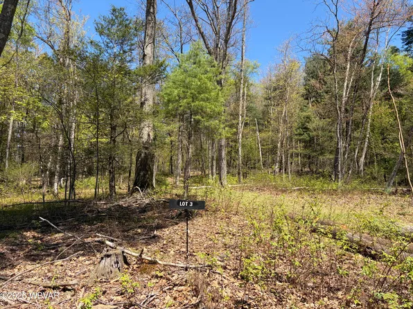 112 Tallman Hollow Rd Lot 3, Montoursville, PA 17754