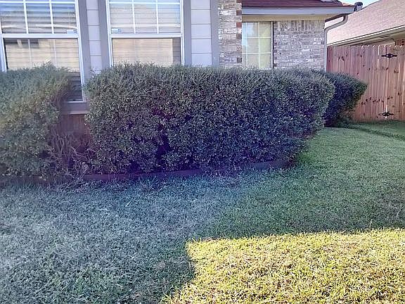 5th image of 232 Crooked Ln