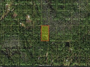 Holopaw Groves Rd #33, Saint Cloud, FL 34773