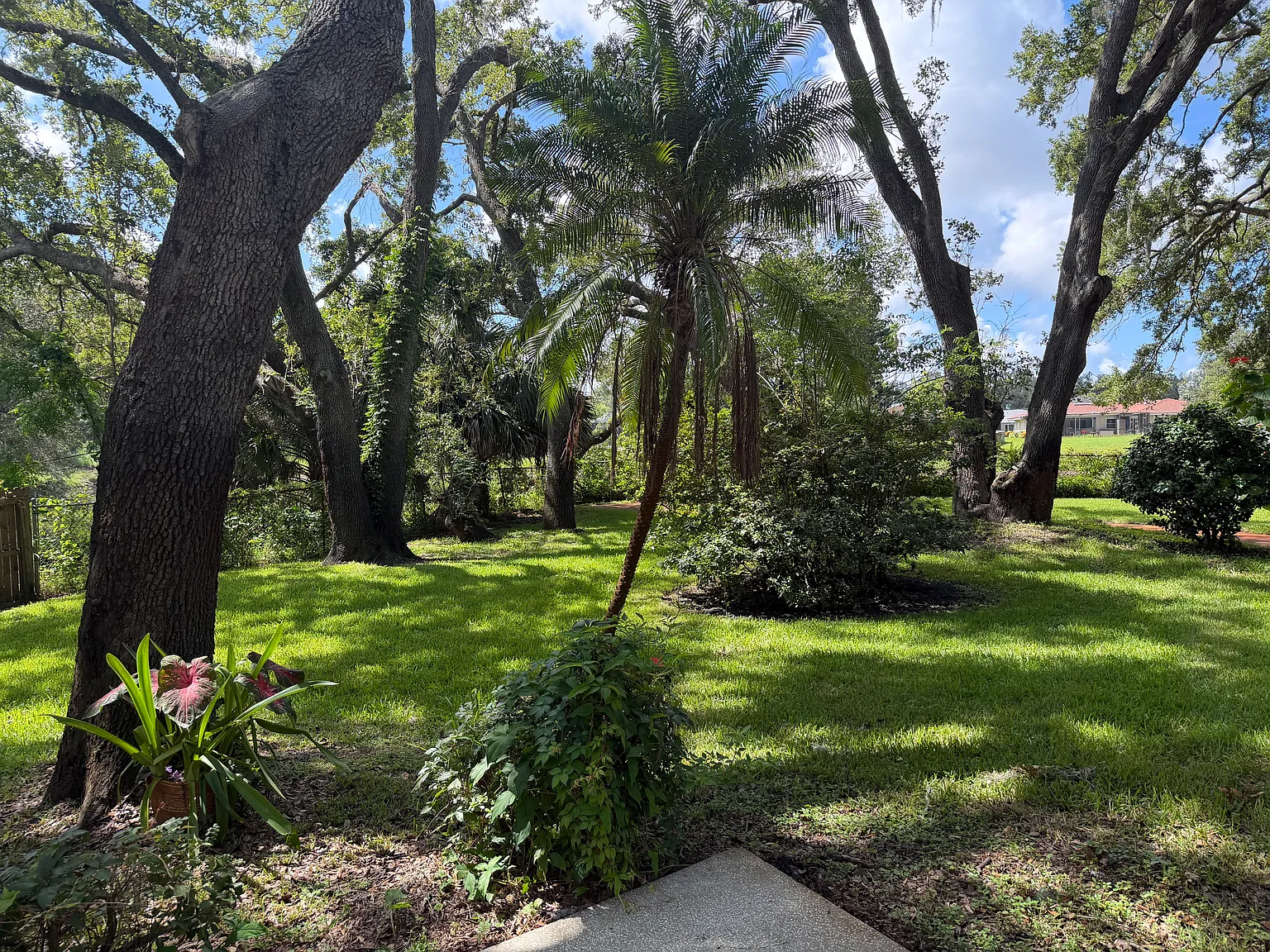 3 bed, 2300 sqft, $3,700 — Photo 3