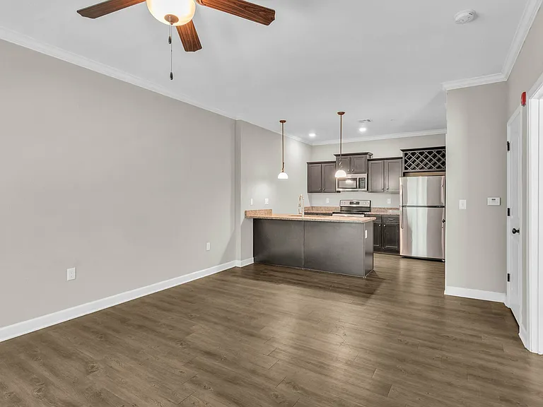 Kitchen/Living Area