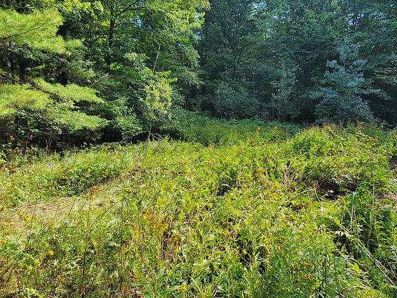 4th image of 239 Folsom Pond Road