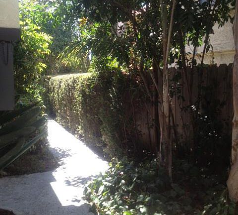 3rd image of 1460 Hornblend St APT 2