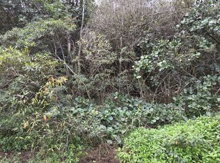 22nd Ave LOT 1226, Keaau, HI 96749
