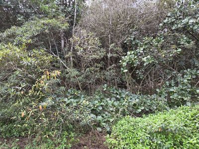 22nd Ave Lot 1226, Keaau, HI, 96749