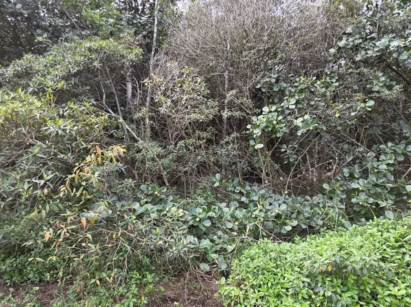 22nd Ave Lot 1226, Keaau, HI 96749