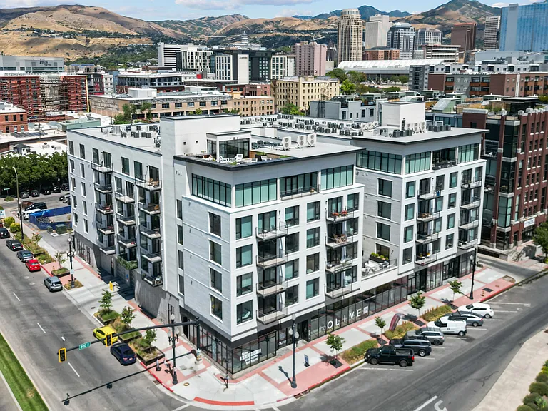 The Olive — Photo 32