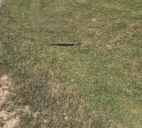 2nd image of 187 County Road 322
