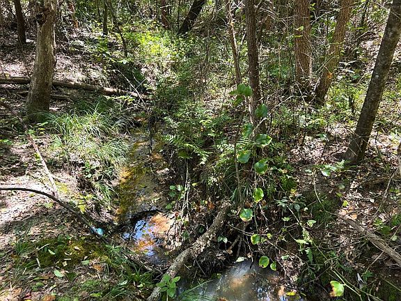 5th image of TRACT 1 Pops Landing Rd