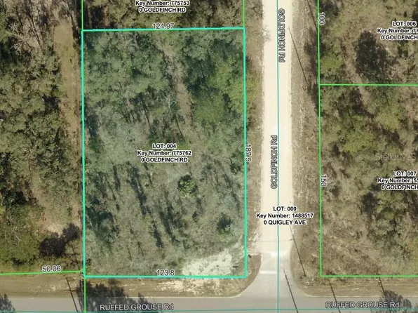 GOLDFINCH ROAD LOT 4, WEEKI WACHEE, FL 34614