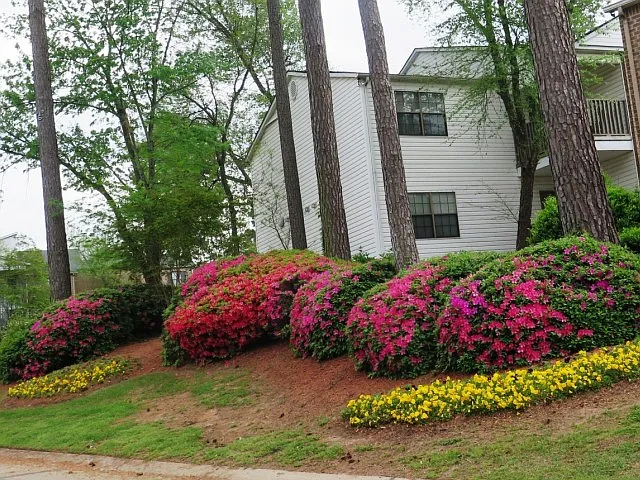 Lush Landscaping