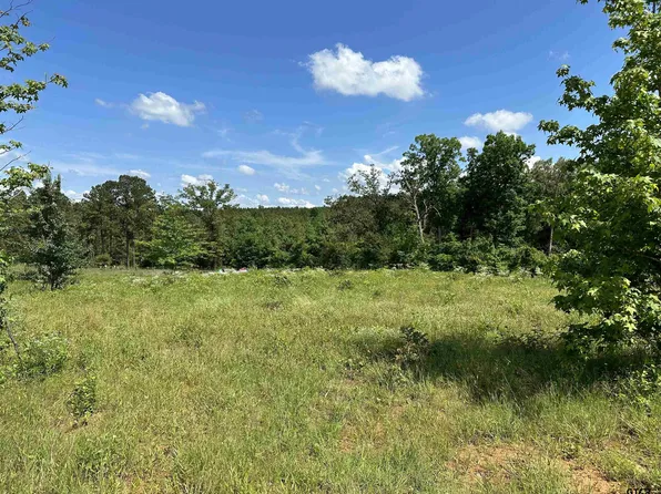 1032 County Road 4910, Troup, TX 75789