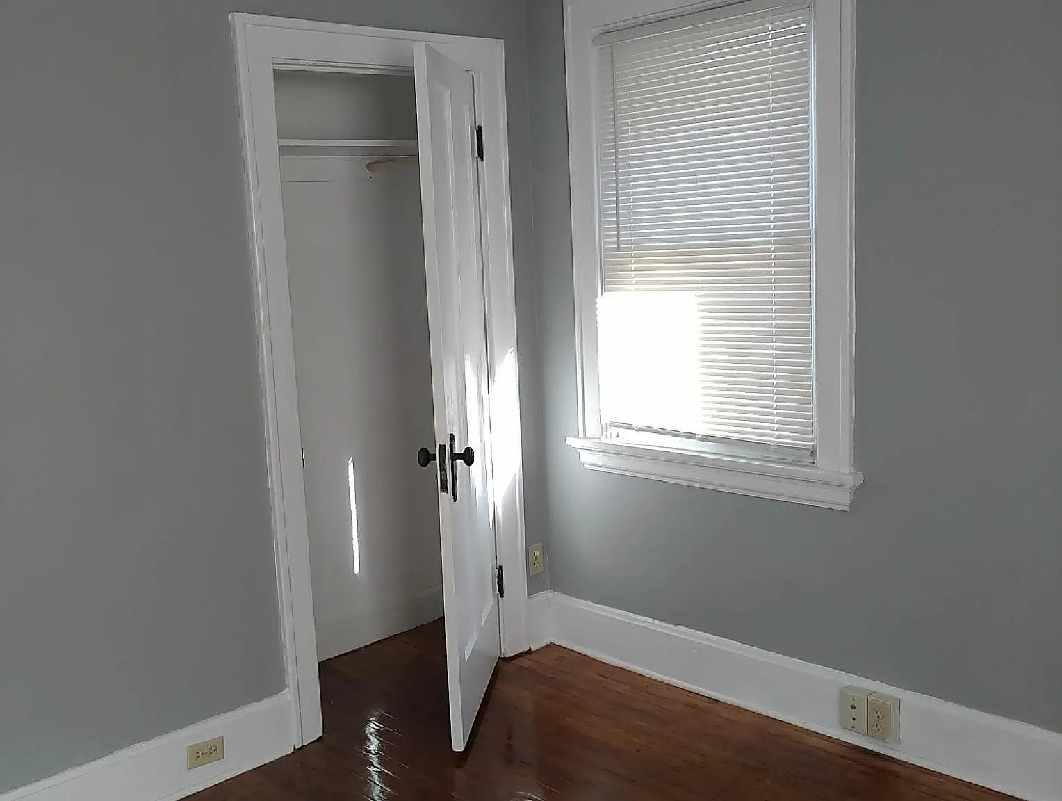 2 bed, 800 sqft, $1,350 — Photo 4