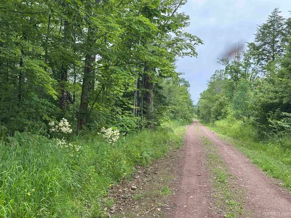 On Fr 484 Rd, Wakefield, MI 49968