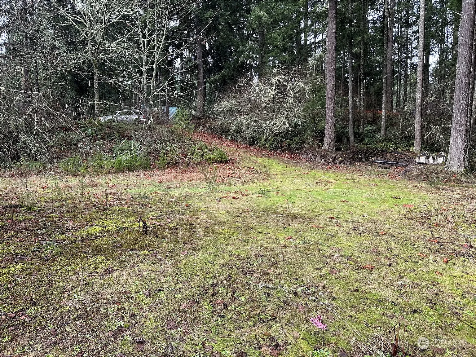 18214 -18220 Big Fir Court SE photo 1