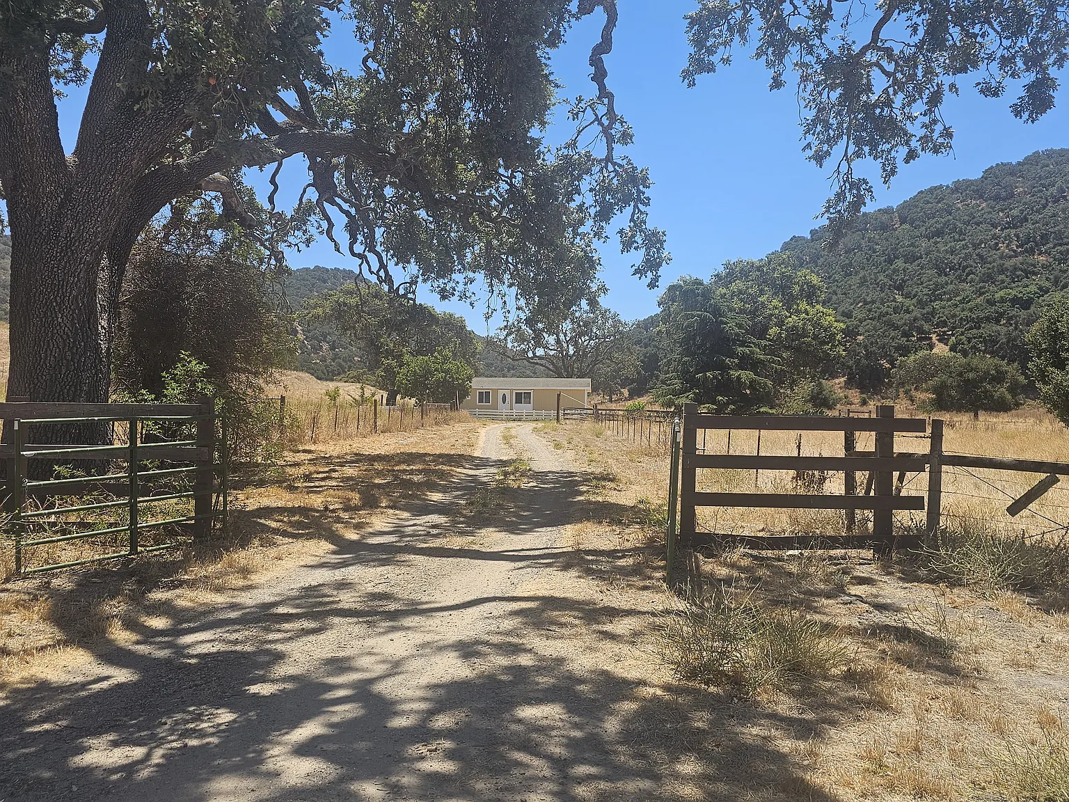 3 bed, $3,250 — Photo 2