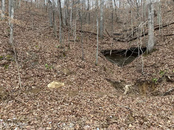 9 Stanley Creek Rd, Oneida, TN 37841