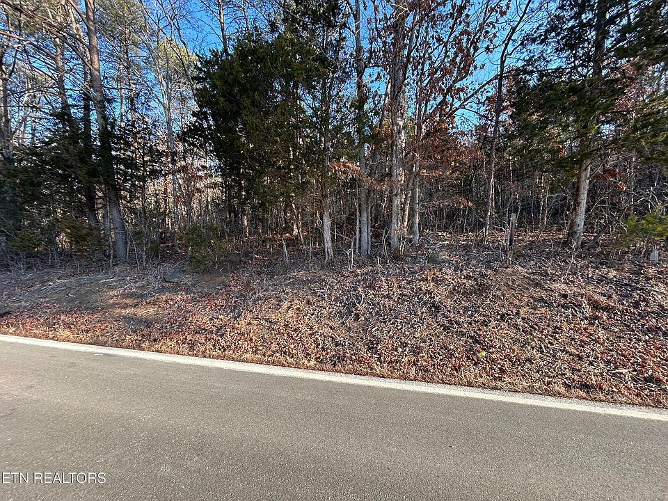 2nd image of N White Pine Rd