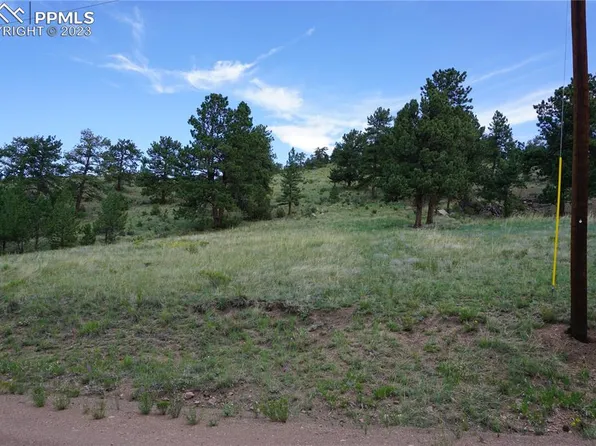 89 Peak Dr, Guffey, CO 80820