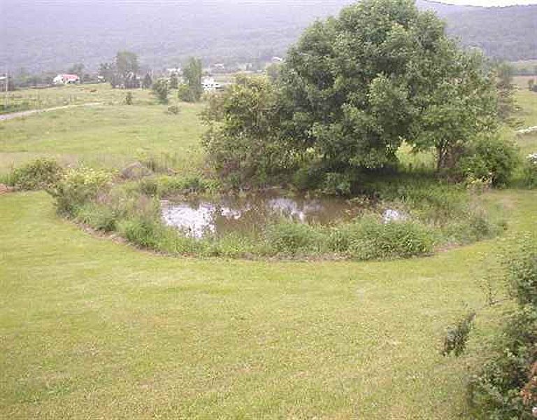 3rd image of 235 SUNNYSIDE Road