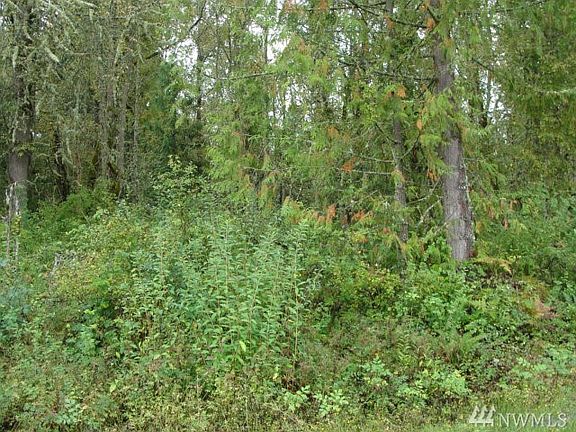 2nd image of 38513 Mountain Hwy E