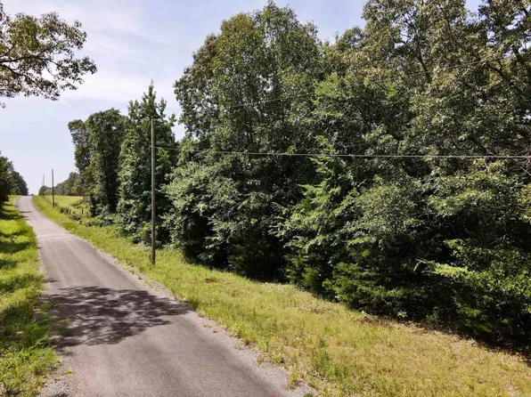 (undisclosed Address), Mount Vernon, AR 72111
