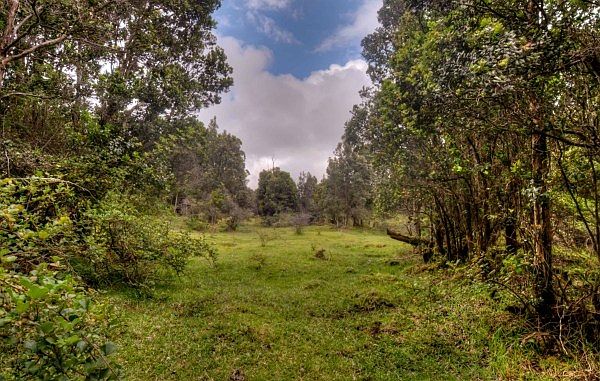 2nd image of Wright Rd Lot 13-B-8