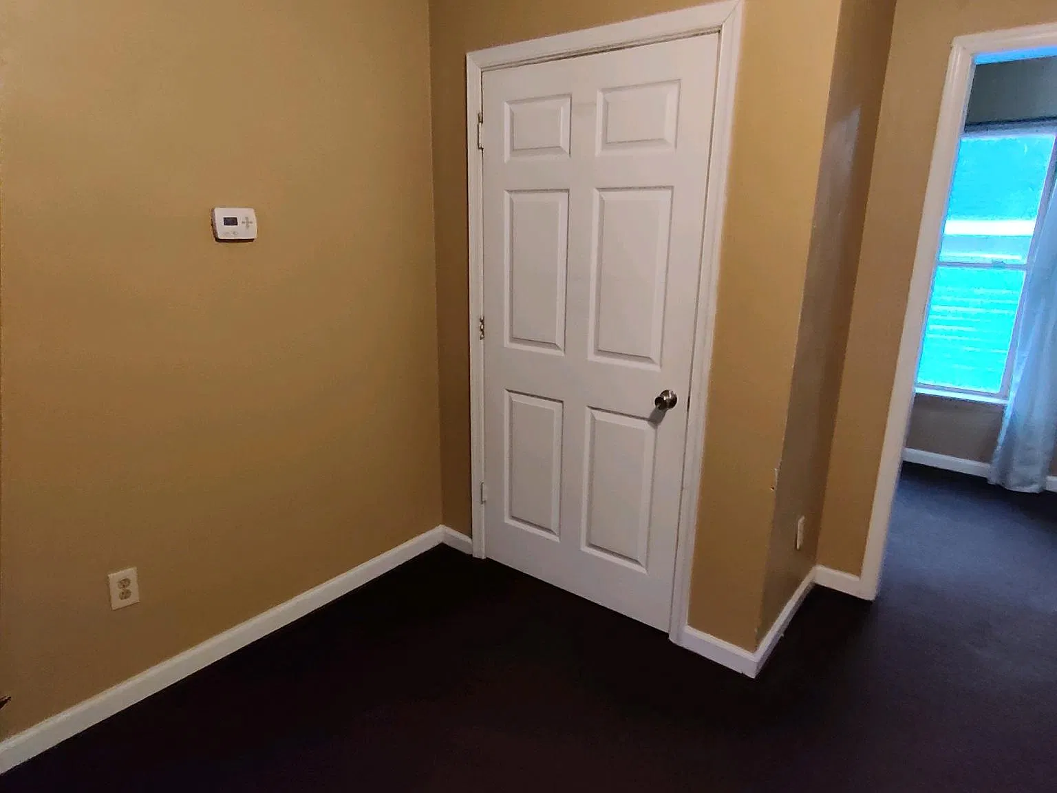 1 bed, $1,100 — Photo 4