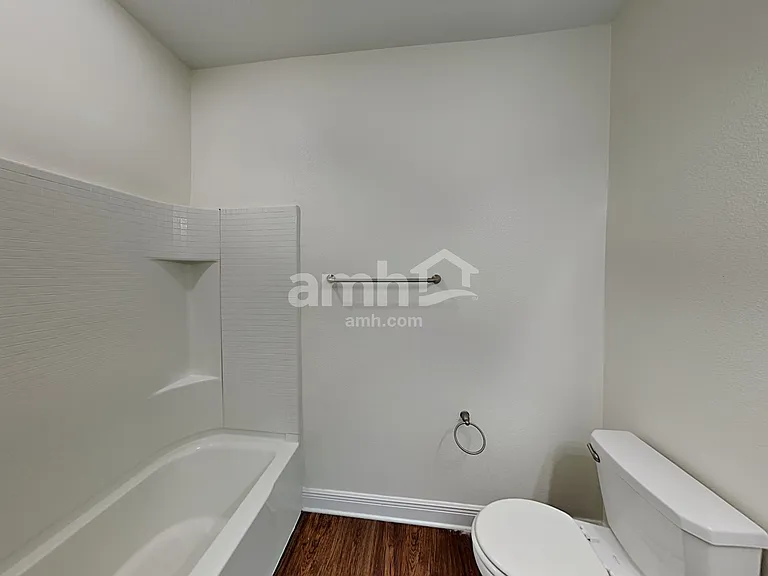 1306 Celery Palm Cv — Photo 18