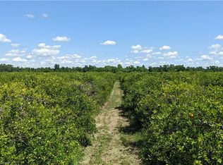 4455 W Main St, Wauchula, FL 33873
