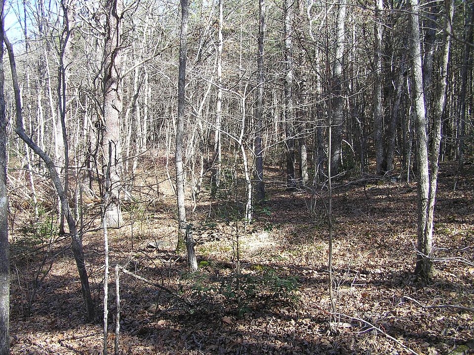 1st image of 977 Dell Ln #78