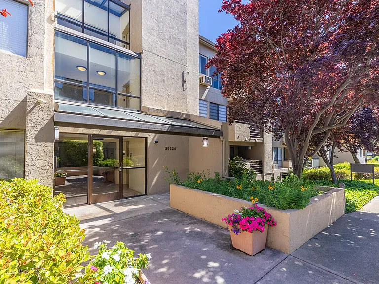 39224 Guardino Dr #314 — Photo 4