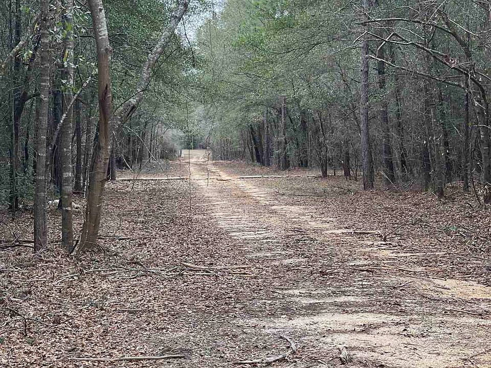 2nd image of LOT 1B Highway 178