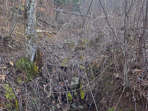 4th image of Tbd Tiger Creek Rd