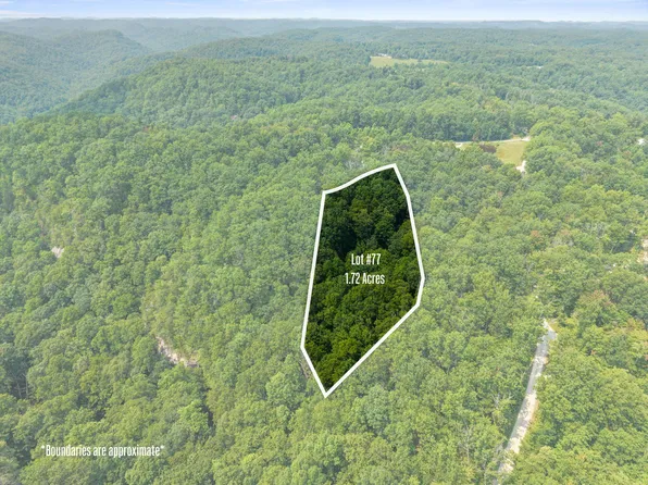 LOT 77 193 Oak Hill Dr, Frenchburg, KY 40322
