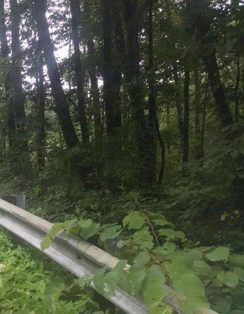 2nd image of Sawyer Pike
