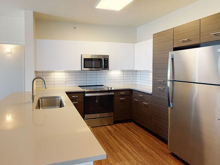Apartment kitchen with stainless steel appliances, quartz countertops and wood-style flooring.