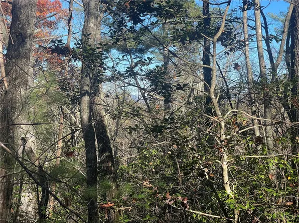 0 Snider Cemetary Rd, Mountain Rest, SC 29664