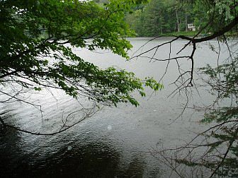 2nd image of Lamer Drive