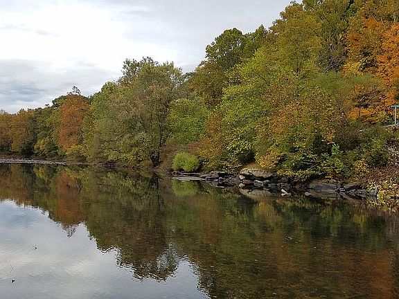 Fall view from front porch