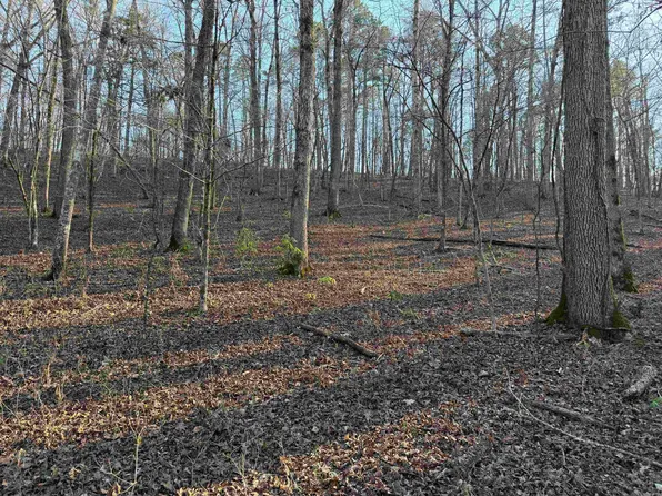 0 Highway 336 E, Clinton, AR 72031