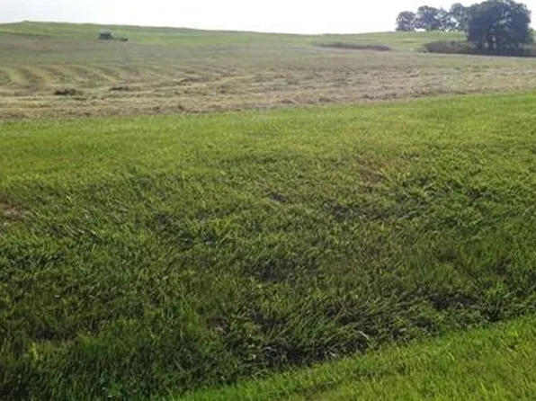 4000 Palestine Rd, Campbellsville, KY 42718