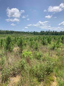 1406 Beaudry Cir, Jessieville, AR, 71949